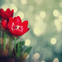 Расулова Маржана Магомедовна 